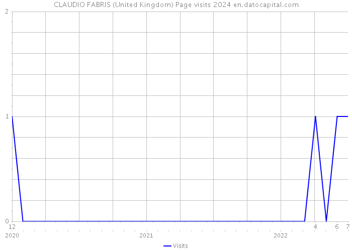 CLAUDIO FABRIS (United Kingdom) Page visits 2024 