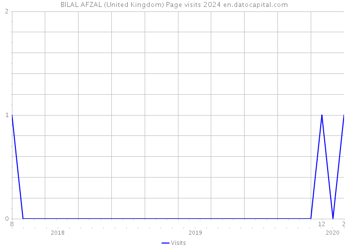 BILAL AFZAL (United Kingdom) Page visits 2024 