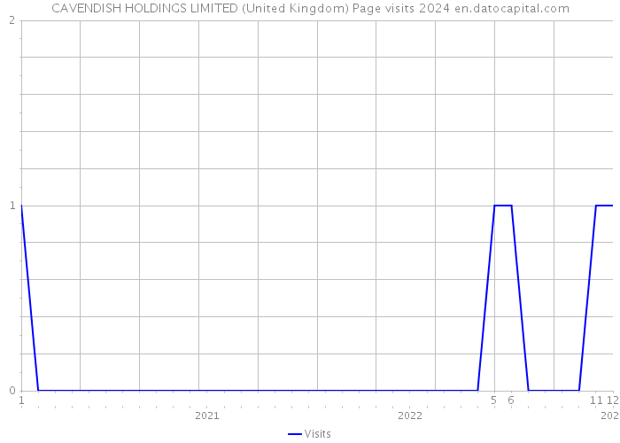 CAVENDISH HOLDINGS LIMITED (United Kingdom) Page visits 2024 
