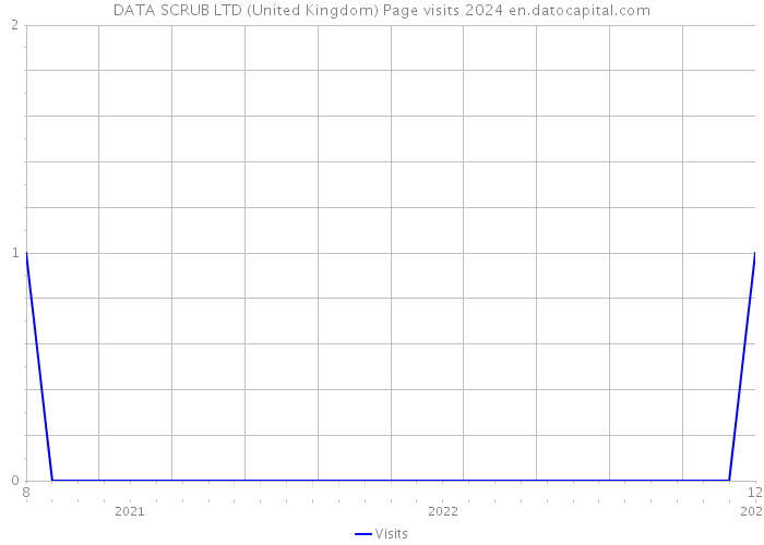 DATA SCRUB LTD (United Kingdom) Page visits 2024 