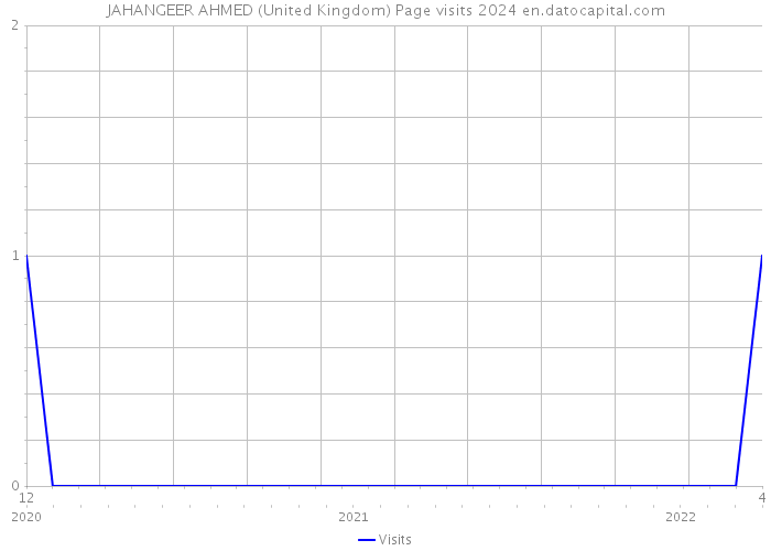 JAHANGEER AHMED (United Kingdom) Page visits 2024 
