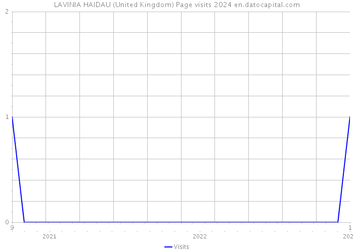 LAVINIA HAIDAU (United Kingdom) Page visits 2024 