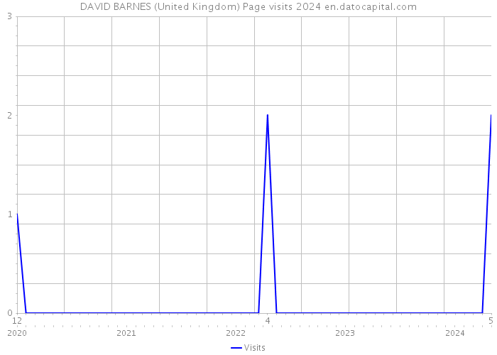 DAVID BARNES (United Kingdom) Page visits 2024 