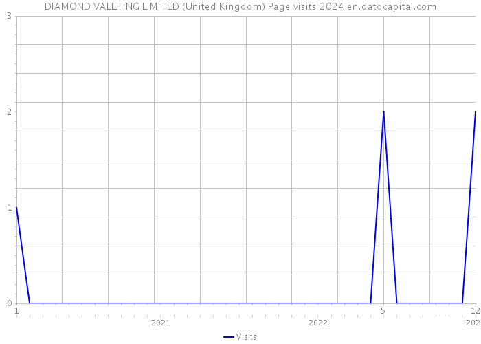 DIAMOND VALETING LIMITED (United Kingdom) Page visits 2024 