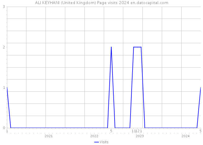 ALI KEYHANI (United Kingdom) Page visits 2024 