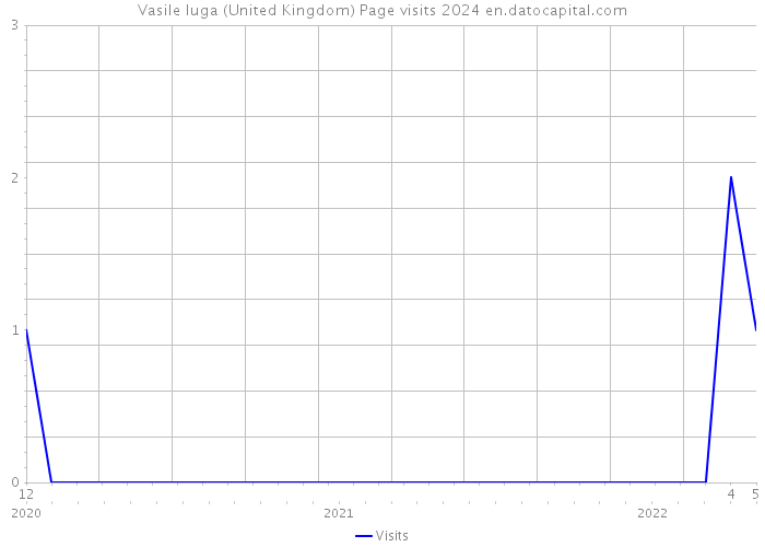 Vasile Iuga (United Kingdom) Page visits 2024 