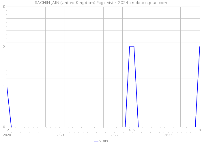 SACHIN JAIN (United Kingdom) Page visits 2024 