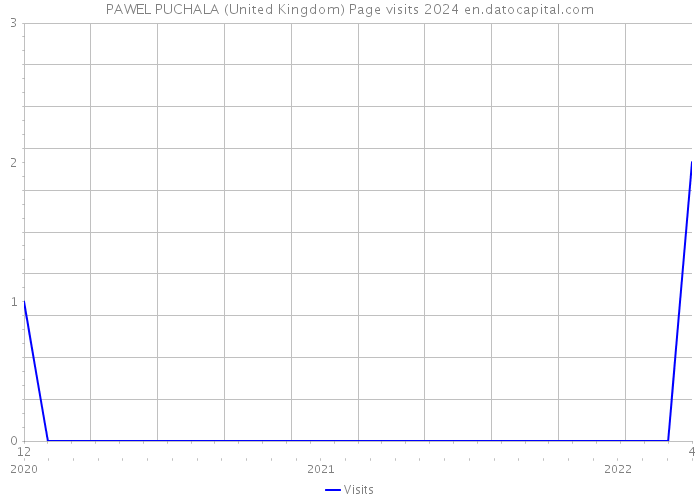 PAWEL PUCHALA (United Kingdom) Page visits 2024 