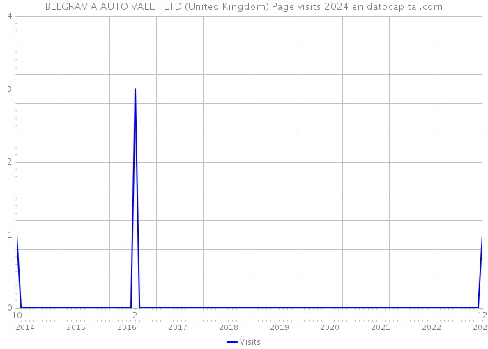 BELGRAVIA AUTO VALET LTD (United Kingdom) Page visits 2024 