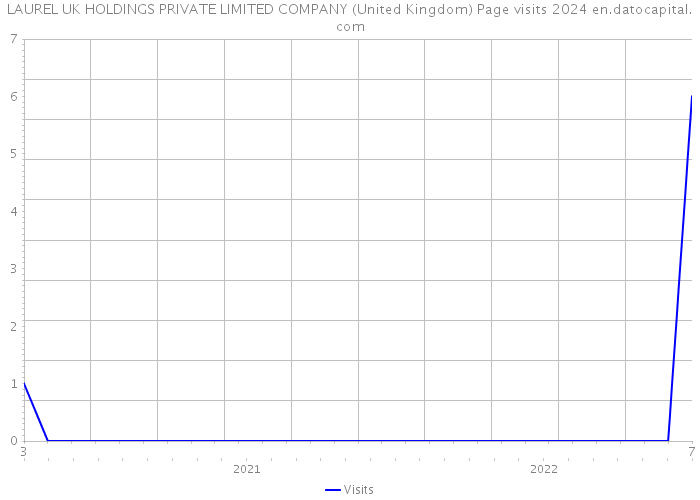 LAUREL UK HOLDINGS PRIVATE LIMITED COMPANY (United Kingdom) Page visits 2024 
