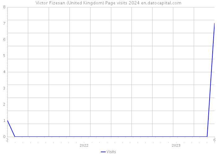 Victor Fizesan (United Kingdom) Page visits 2024 