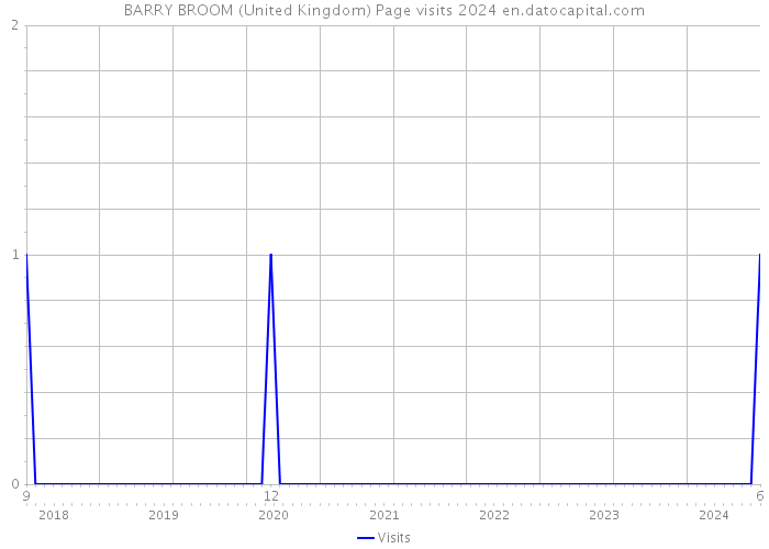BARRY BROOM (United Kingdom) Page visits 2024 