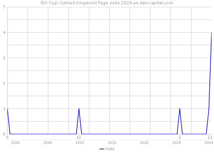 Erli Cupi (United Kingdom) Page visits 2024 