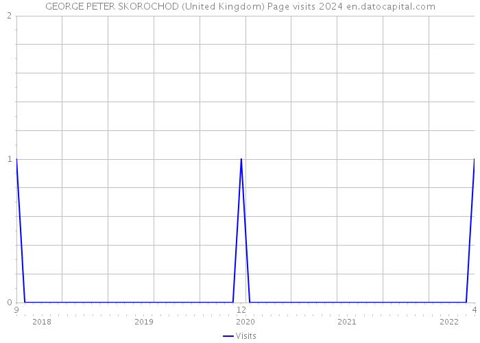 GEORGE PETER SKOROCHOD (United Kingdom) Page visits 2024 
