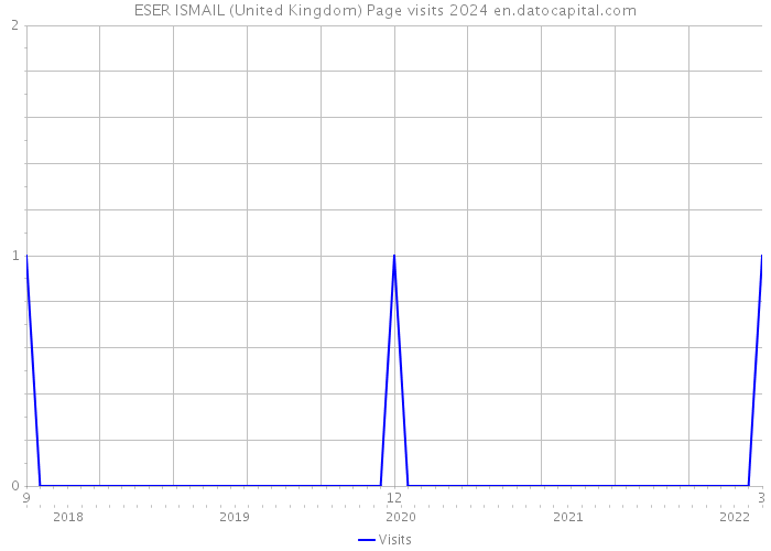 ESER ISMAIL (United Kingdom) Page visits 2024 