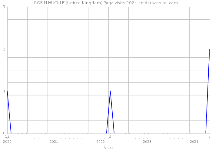 ROBIN HUCKLE (United Kingdom) Page visits 2024 
