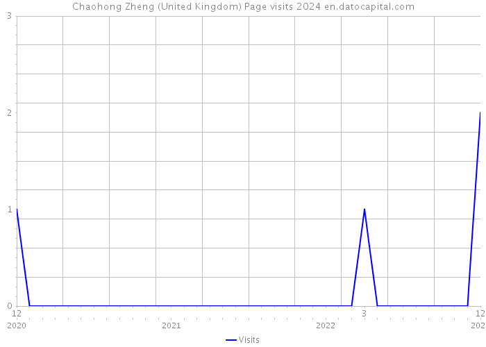 Chaohong Zheng (United Kingdom) Page visits 2024 
