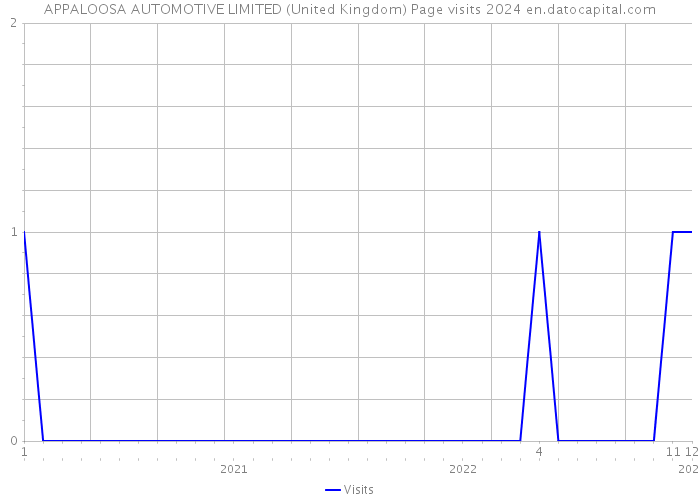 APPALOOSA AUTOMOTIVE LIMITED (United Kingdom) Page visits 2024 