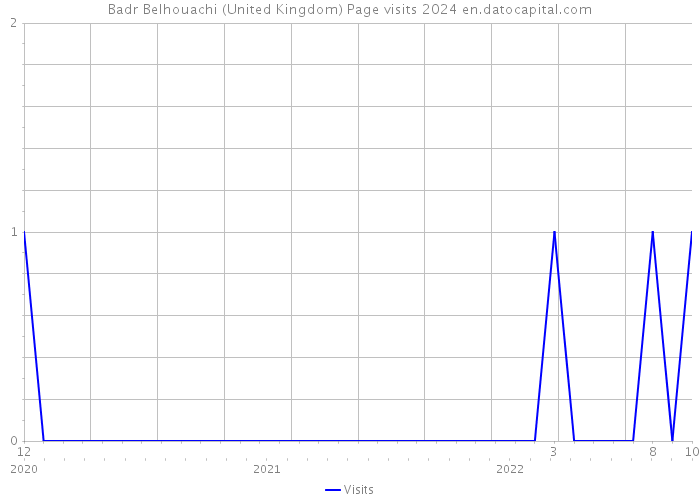 Badr Belhouachi (United Kingdom) Page visits 2024 