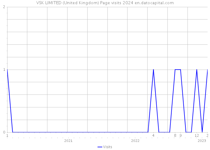 VSK LIMITED (United Kingdom) Page visits 2024 