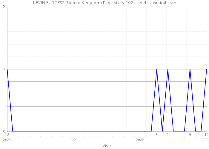 KEVIN BURGESS (United Kingdom) Page visits 2024 