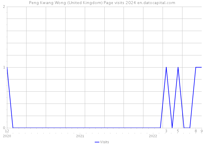 Peng Kwang Wong (United Kingdom) Page visits 2024 