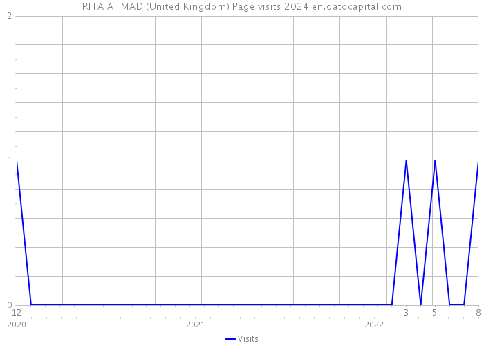 RITA AHMAD (United Kingdom) Page visits 2024 