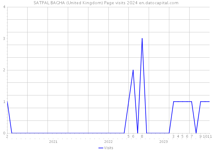 SATPAL BAGHA (United Kingdom) Page visits 2024 