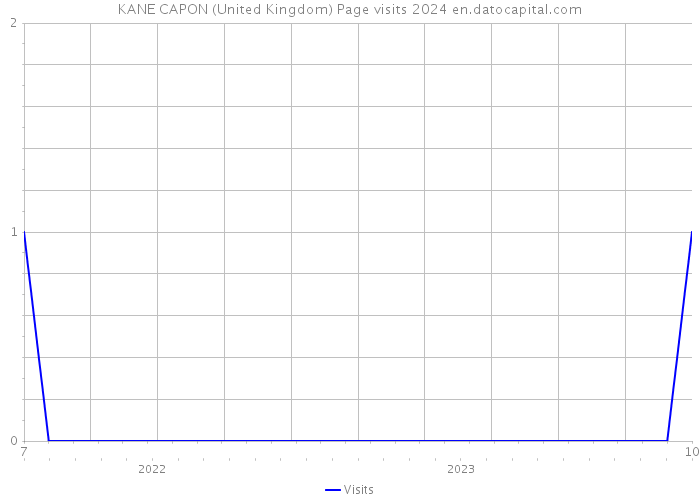 KANE CAPON (United Kingdom) Page visits 2024 