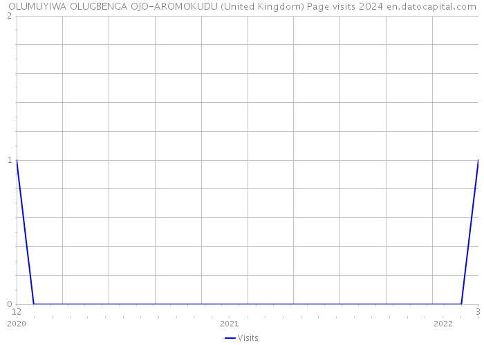 OLUMUYIWA OLUGBENGA OJO-AROMOKUDU (United Kingdom) Page visits 2024 