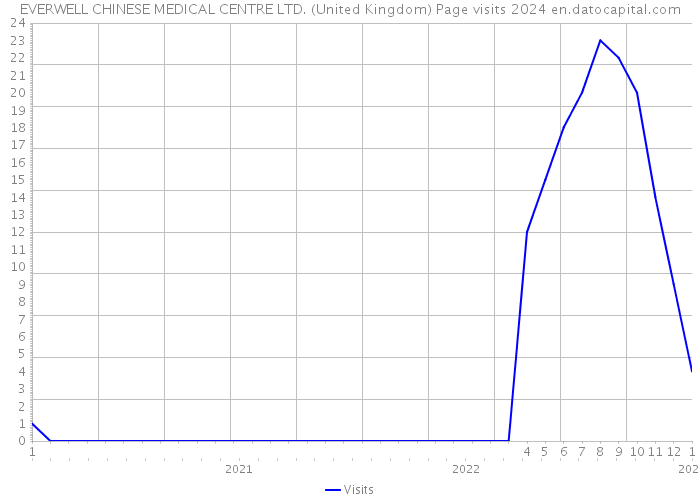EVERWELL CHINESE MEDICAL CENTRE LTD. (United Kingdom) Page visits 2024 