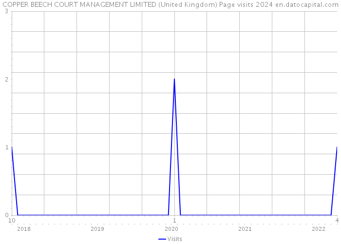 COPPER BEECH COURT MANAGEMENT LIMITED (United Kingdom) Page visits 2024 