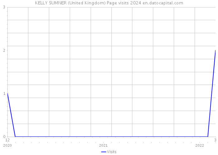 KELLY SUMNER (United Kingdom) Page visits 2024 
