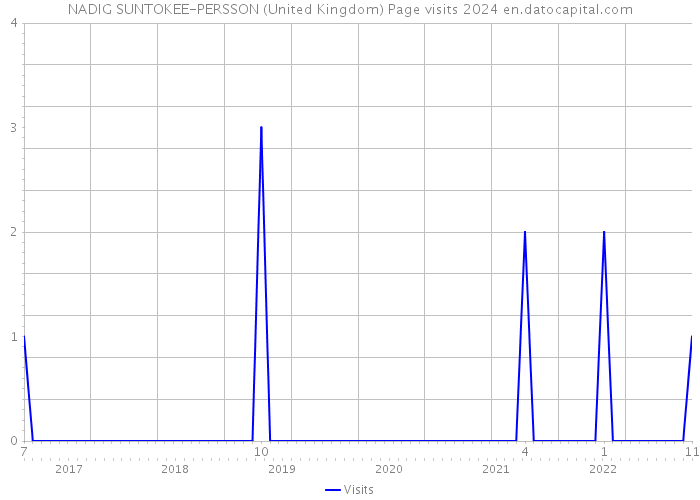NADIG SUNTOKEE-PERSSON (United Kingdom) Page visits 2024 