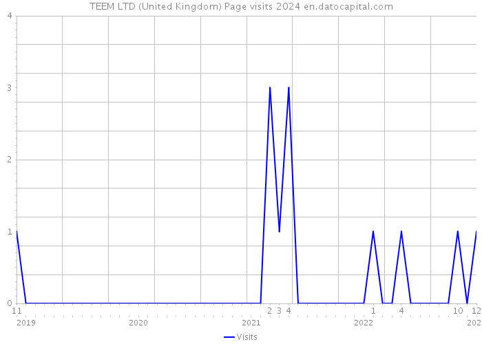 TEEM LTD (United Kingdom) Page visits 2024 