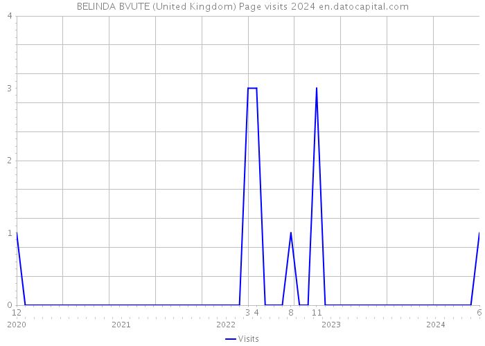 BELINDA BVUTE (United Kingdom) Page visits 2024 