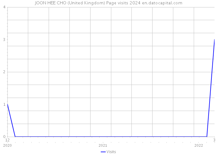 JOON HEE CHO (United Kingdom) Page visits 2024 