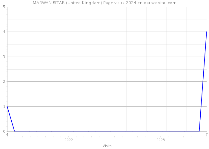 MARWAN BITAR (United Kingdom) Page visits 2024 