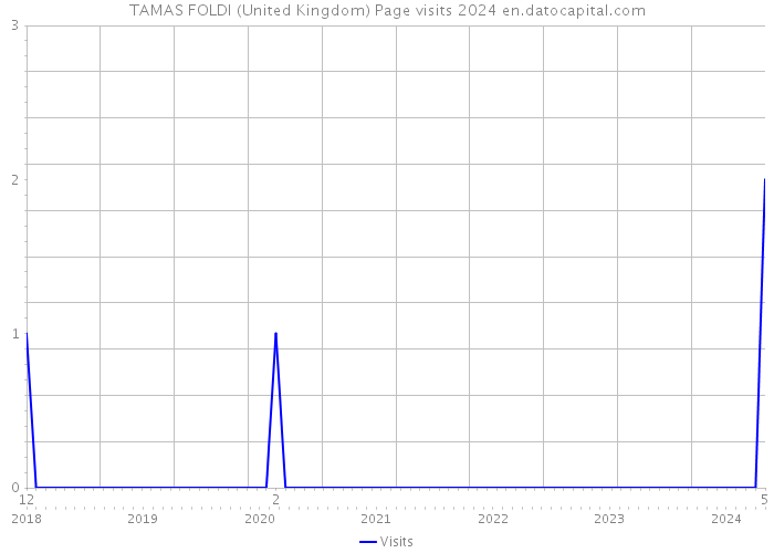 TAMAS FOLDI (United Kingdom) Page visits 2024 