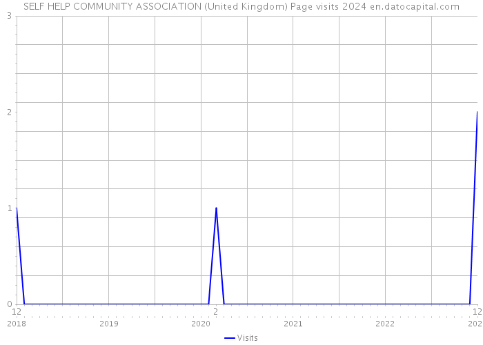 SELF HELP COMMUNITY ASSOCIATION (United Kingdom) Page visits 2024 