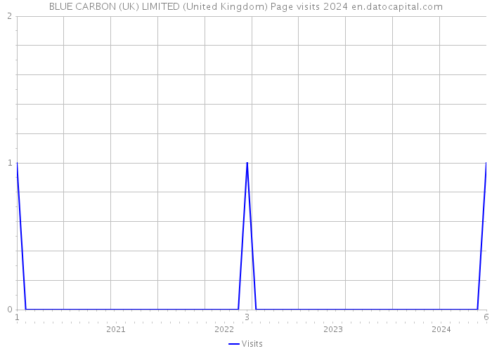 BLUE CARBON (UK) LIMITED (United Kingdom) Page visits 2024 