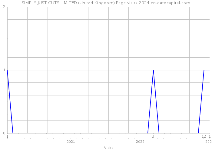 SIMPLY JUST CUTS LIMITED (United Kingdom) Page visits 2024 