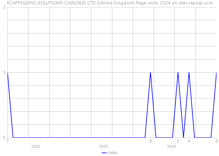 SCAFFOLDING SOLUTIONS (CARLISLE) LTD (United Kingdom) Page visits 2024 