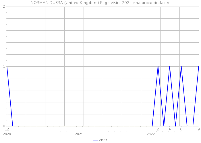 NORMAN DUBRA (United Kingdom) Page visits 2024 