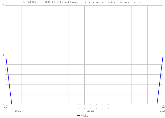 B.R. WEBSITES LIMITED (United Kingdom) Page visits 2024 