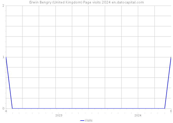 Erwin Bengry (United Kingdom) Page visits 2024 