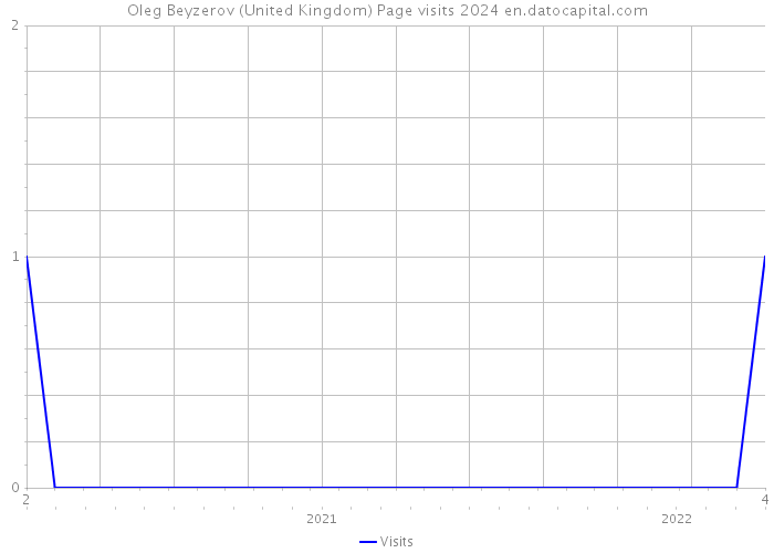Oleg Beyzerov (United Kingdom) Page visits 2024 