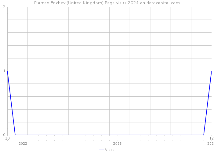 Plamen Enchev (United Kingdom) Page visits 2024 