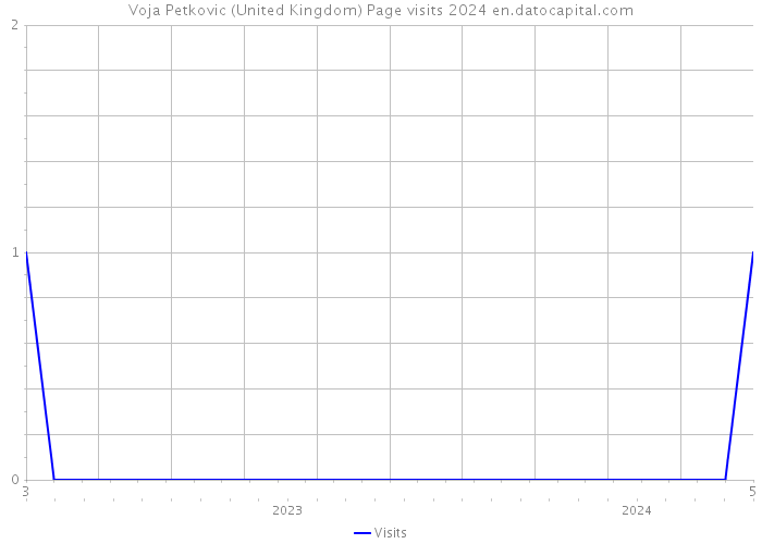 Voja Petkovic (United Kingdom) Page visits 2024 