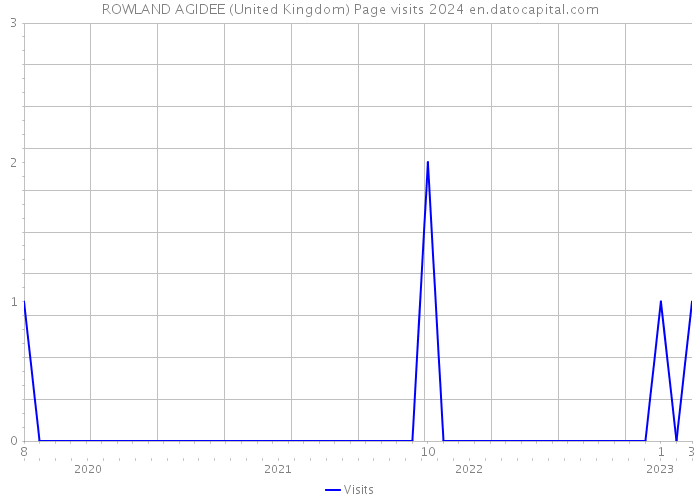 ROWLAND AGIDEE (United Kingdom) Page visits 2024 